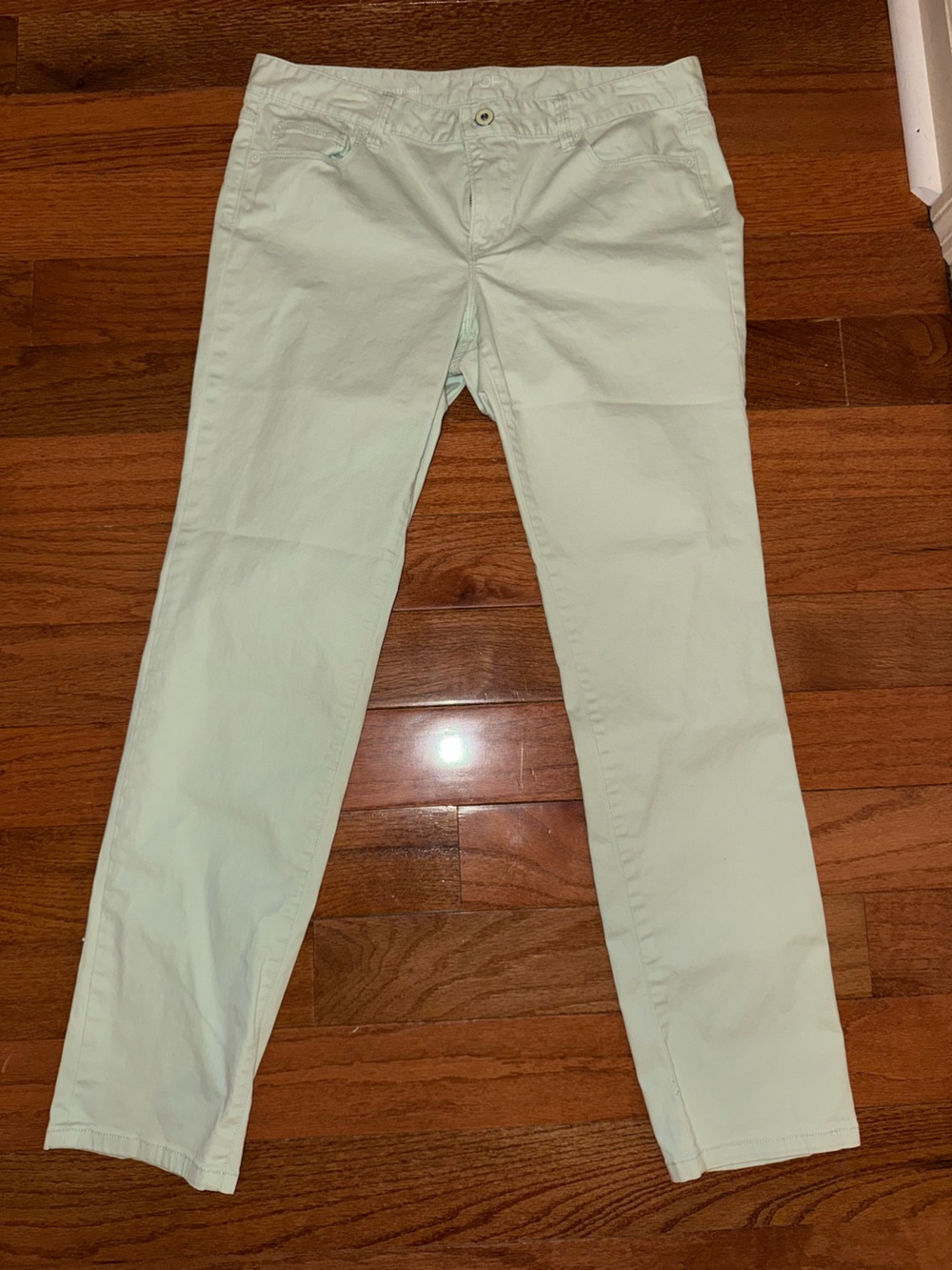 LOFT women’s Skinny Jeans in Pastel Green